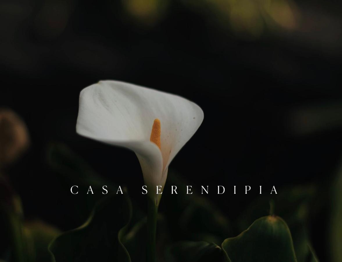 Casa Serendipia La Asomada  Dış mekan fotoğraf
